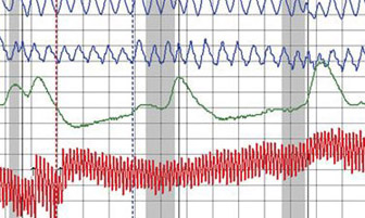 polygraph test in Los angeles